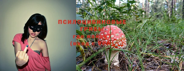 spice Балахна