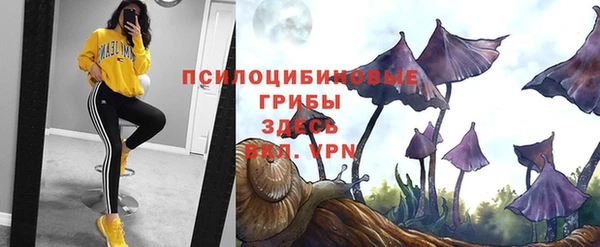 spice Балахна
