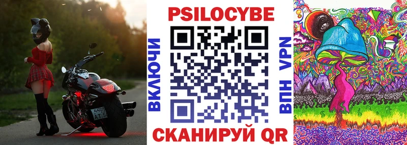 площадка телеграм  Красноуральск  Псилоцибиновые грибы Psilocybine cubensis 